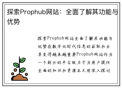 探索Prophub网站：全面了解其功能与优势